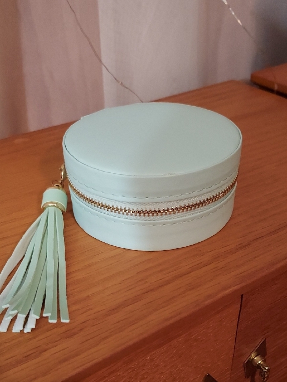 Mint Round Tassel Jewelry Case Bag
